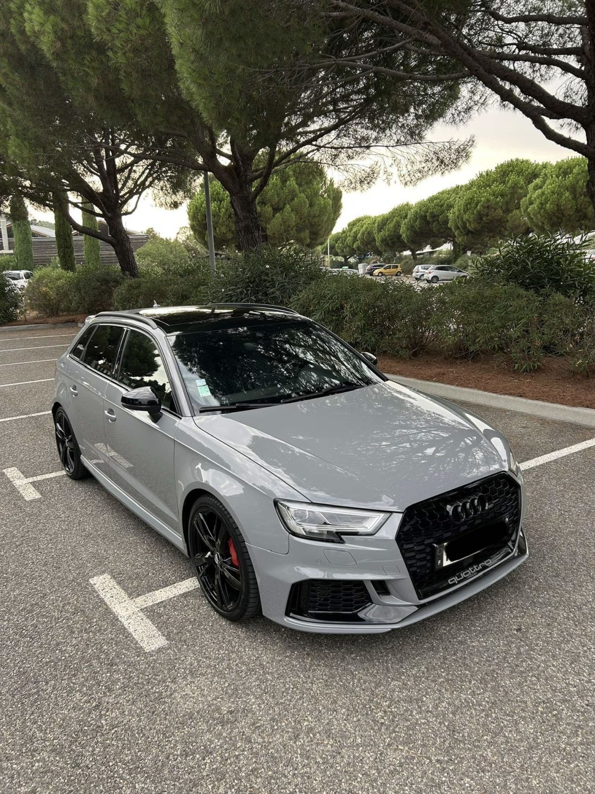 AUDI RS3 8v2 DAZA