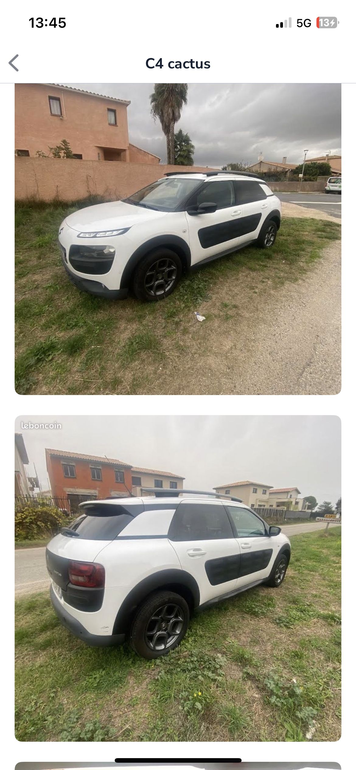 c4 cactus