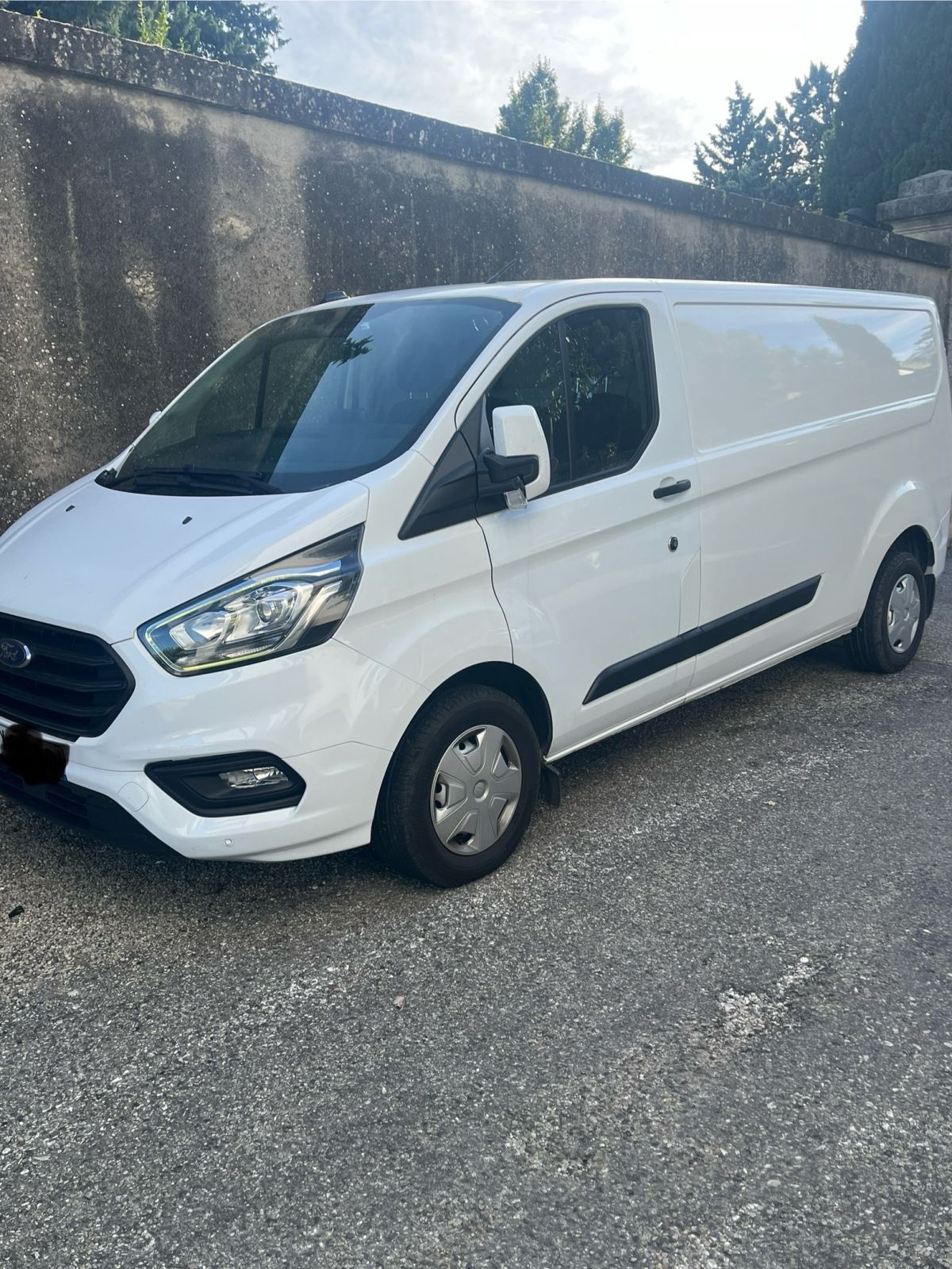 Ford transit custom