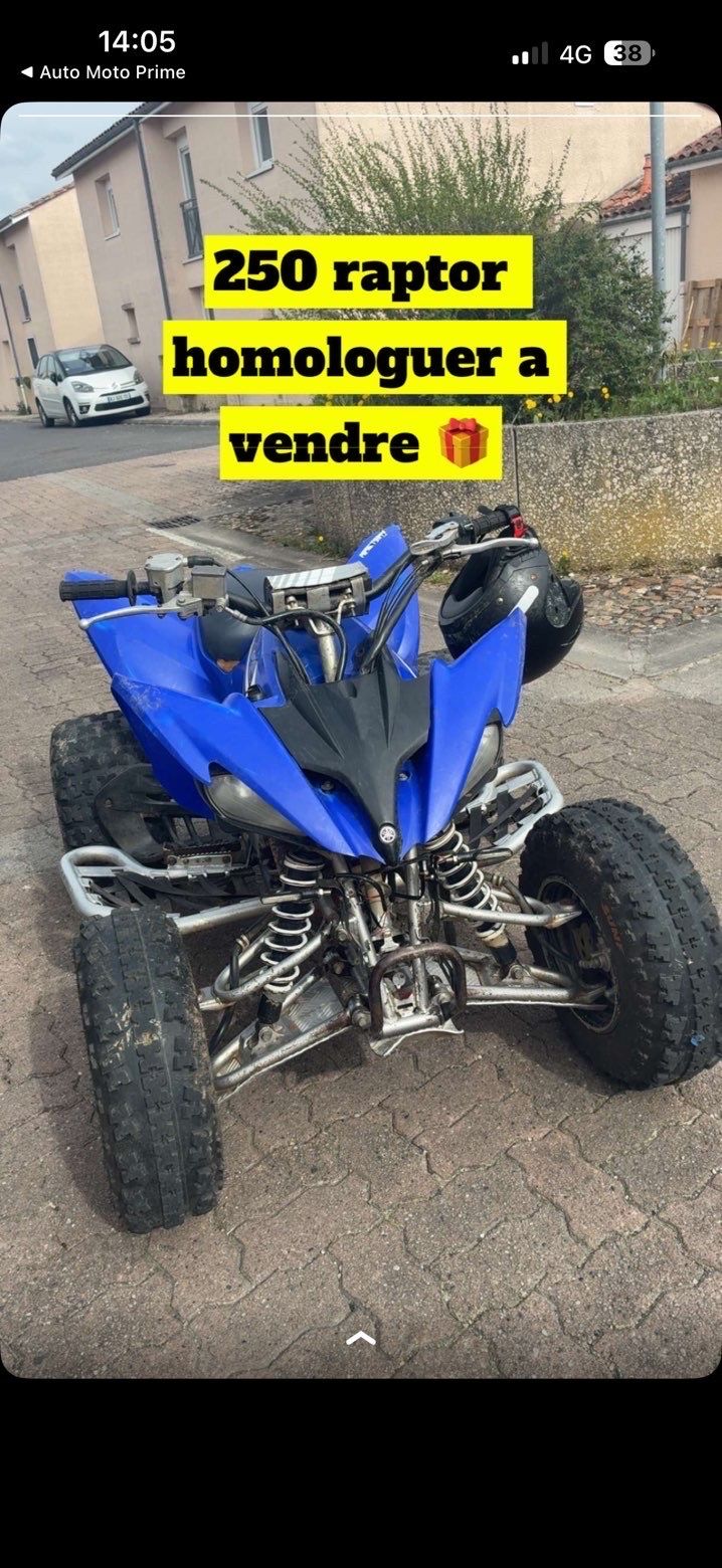 Raptor 250