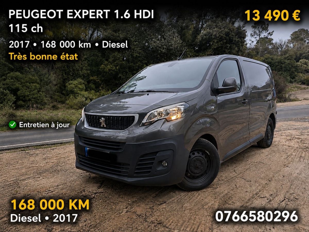 EXPERT 1.6 HDI 120CV